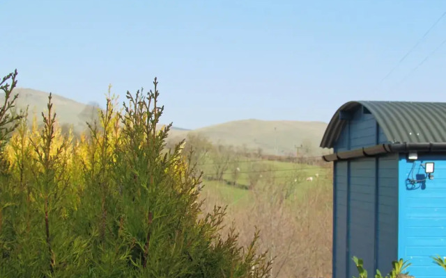 Cuckoo at Wild Valley Huts