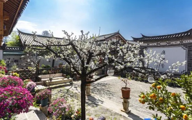 A-Jun And His Friends Entry Luxury Sunshine Garden Courtyard