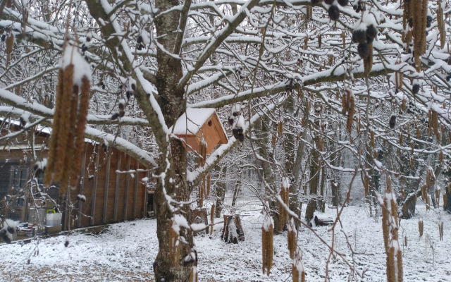 La Fuste des Garceaux