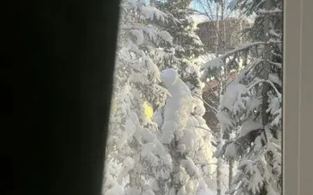 Апартаменты Хвоя