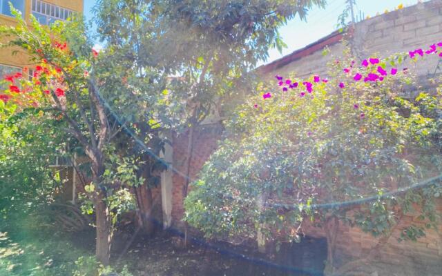 Suite Única Renovada Céntrica Av Zaragoza C14