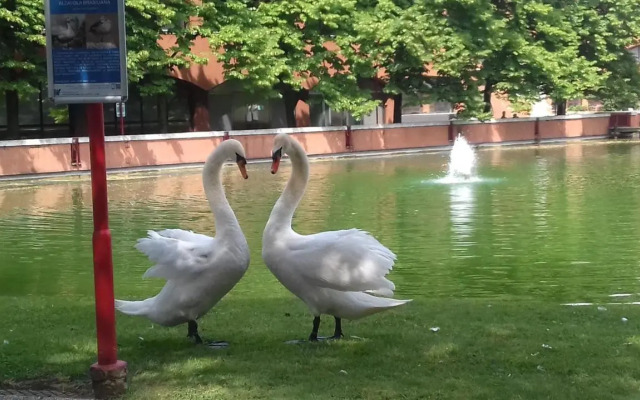 Residenza Parco