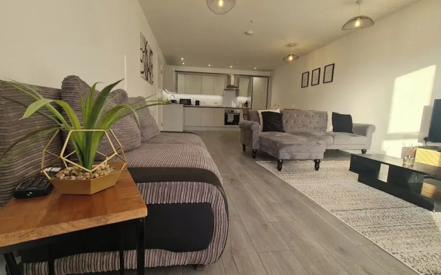 Modern City Apartment