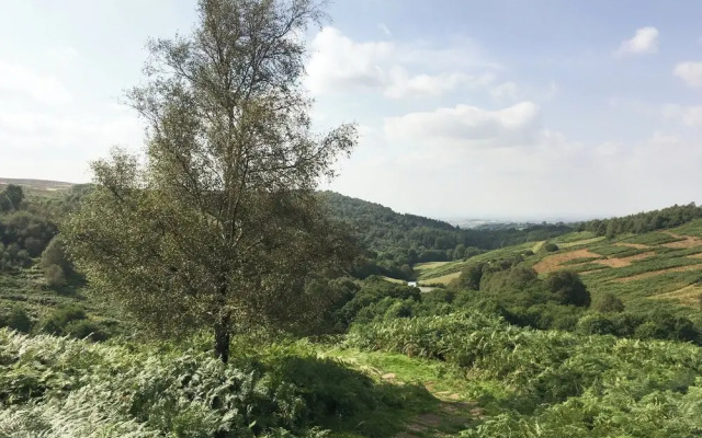 The Barn @ Ivy House