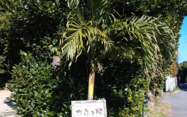Sesoko Island Guest House Kafuu Village