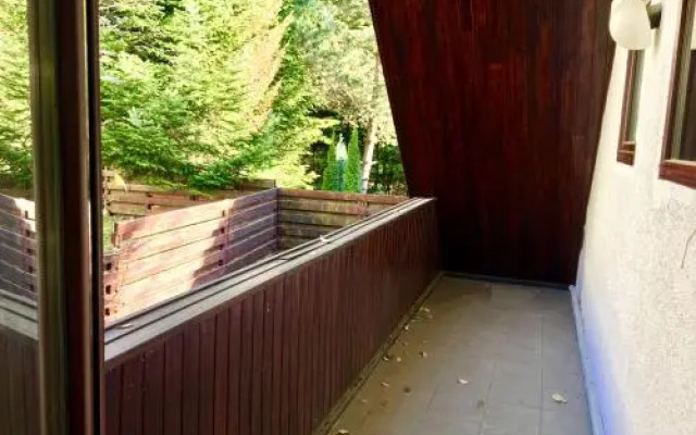 Bliss Residence Predeal Villa