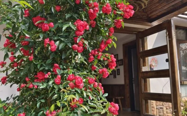Bodhi Lingyin No.1 Courtyard (Lingyin Temple Store in West Lake Scenic Area)