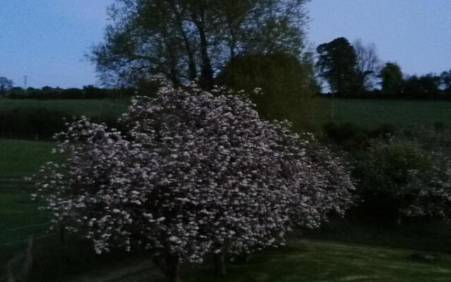 Cable Island Bed and Breakfast