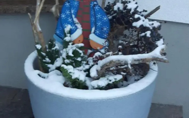 Ferienwohnungen Regina Unger