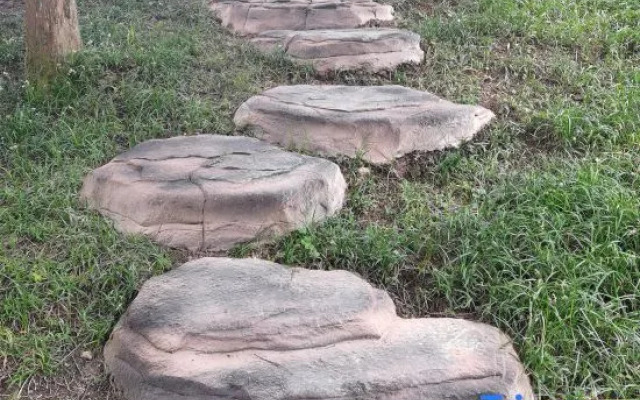 Shizhulinyoujubishushanzhuang