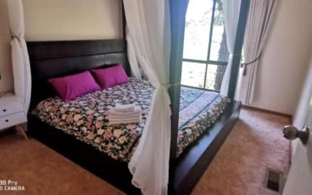Will's Wonderland B&B & Farmstay