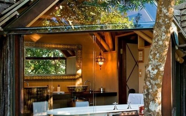 Phantom Forest Eco Reserve