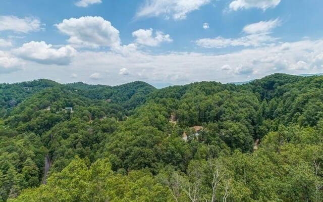 Splash Country 4 Bedrooms 4 Bathrooms Cabin