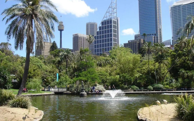 Sydney Backpackers - Hostel