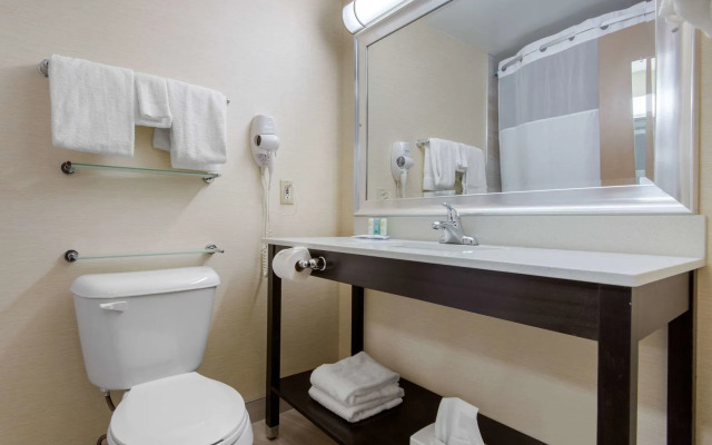 Quality Inn & Conference Centre Downtown