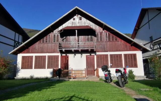Vila Panselutelor 6