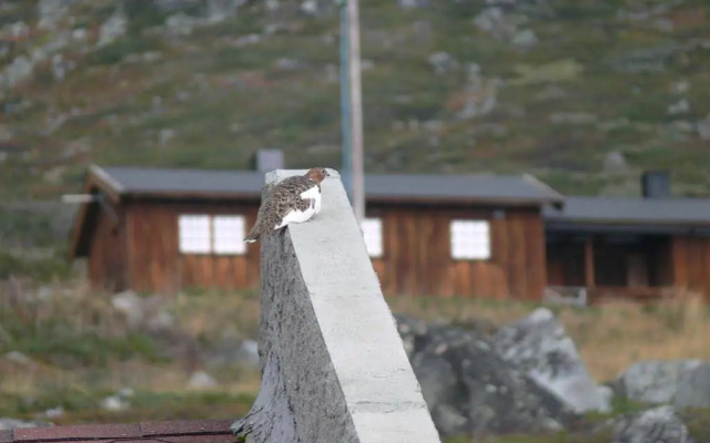 Storestølen Fjellhotell