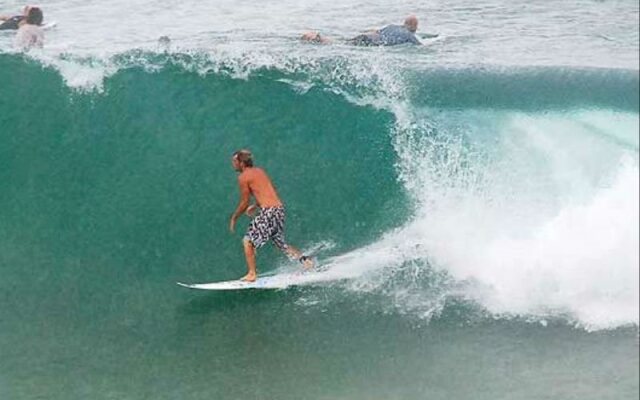 Dolphins Beach House