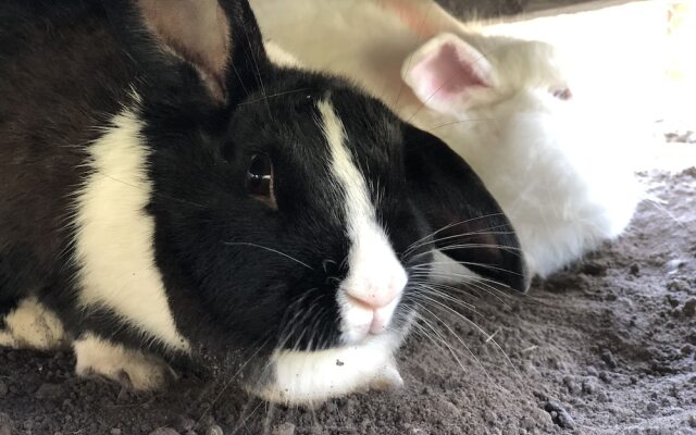 Pousada Villa da Glória