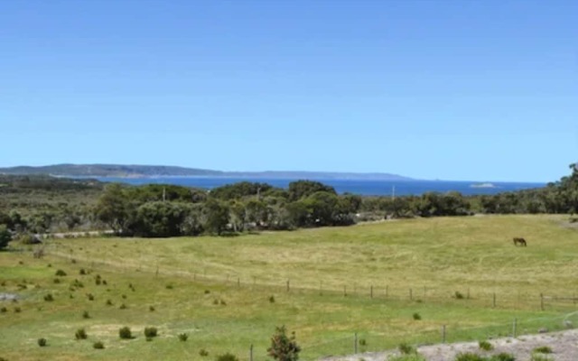 Cosy Corner Seaview Apartments