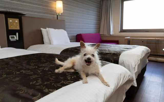 APA Hotel & Resort Jyoetsu Myoko