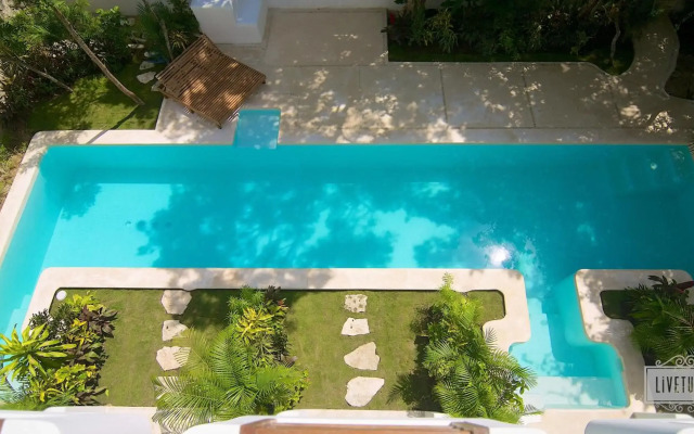 Livetulum