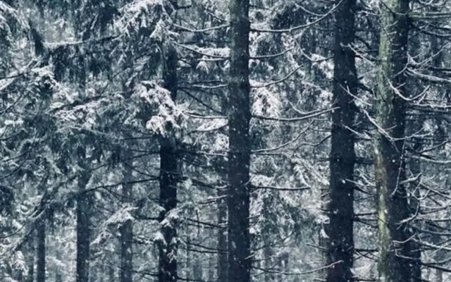 Panoramic View of Lake Harz