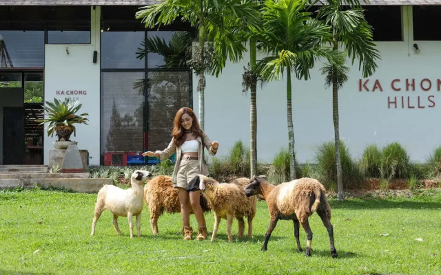 Kachong Hills Tented Resort Trang