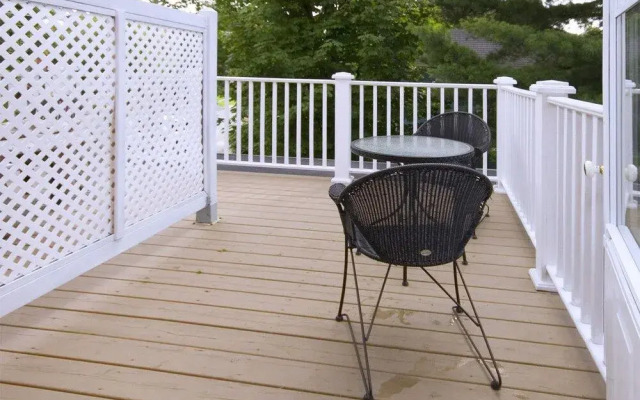 Une Fleur au Bord de l'Eau