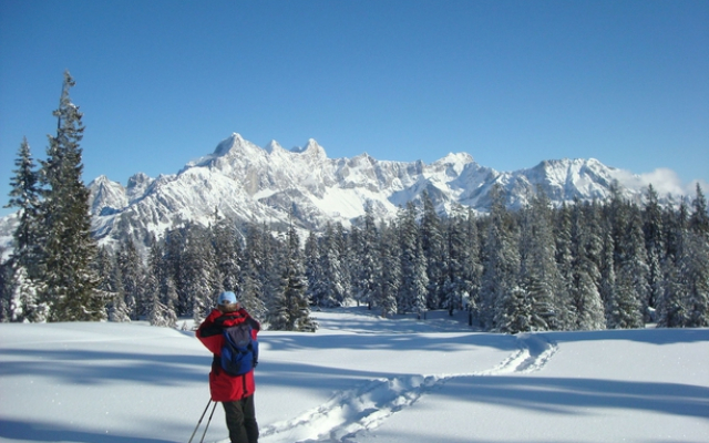 Wander-Vitalhotel Steirerhof