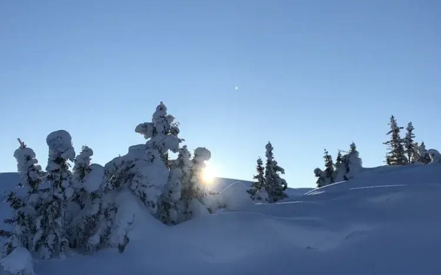 The Apartments company - The Sweet