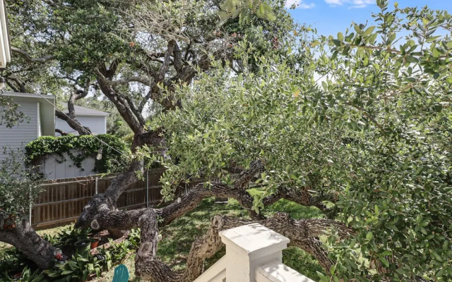 Rockport Treehouse 1 Bedroom Home