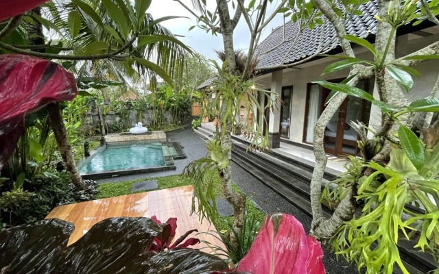 Uda Suite