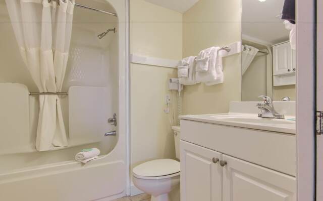 Peppertree By The Sea