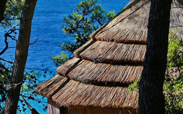 Pine Beach Pakostane - All Inclusive light
