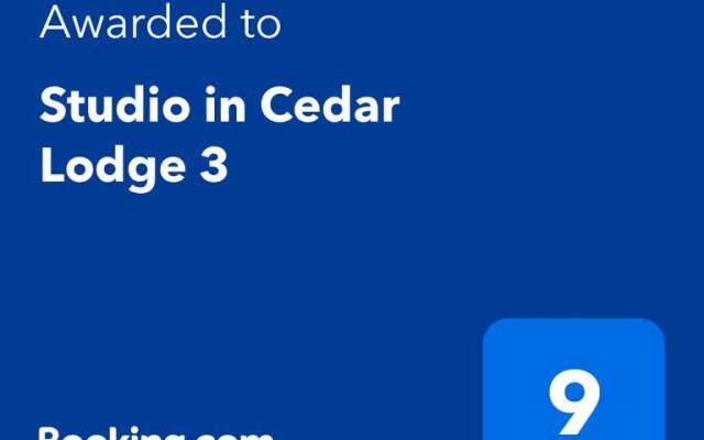 Studio in Cedar Lodge 3