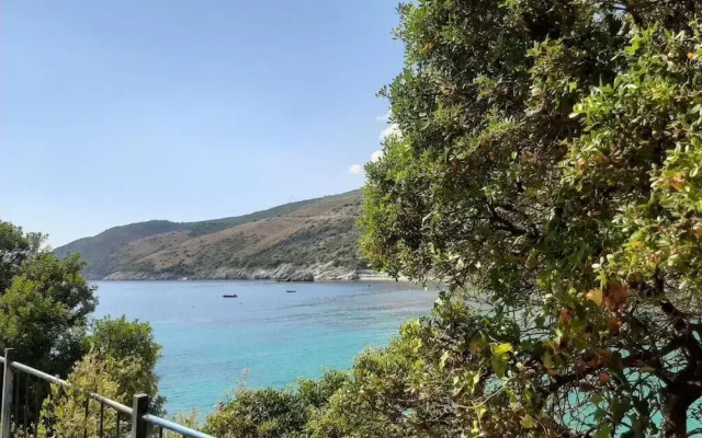 Social Camping JAL
