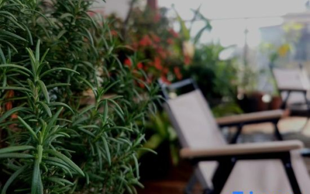 Xiamen Dayin Homestay (Gaoqi Airport Jimei Xuecun Branch)