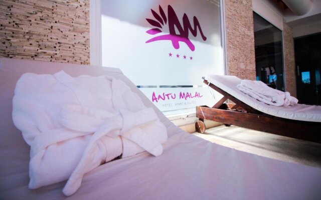Hotel Apart & Suite Antu Malal