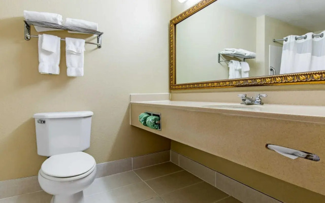 Comfort Suites Auburn near I-69