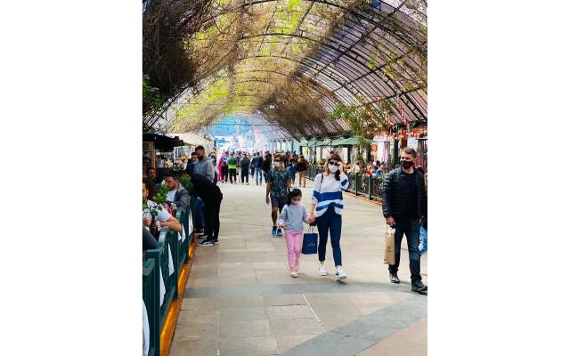 MRG - Charmoso 2D na Rua Coberta