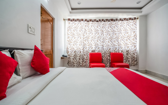 OYO 13746 Mint Leaves