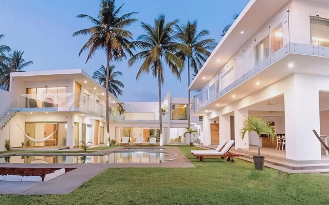 Luxury Palms