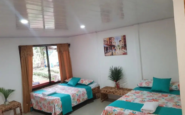 Hotel Maguey - фото 4