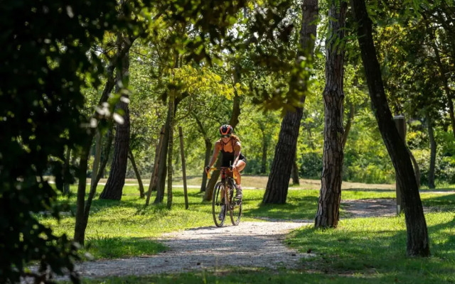 Villa V3 4 pax in Isola Albarella