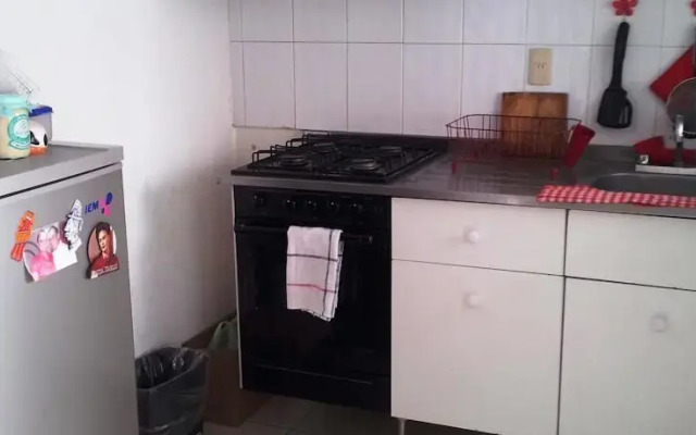 Cedro 269