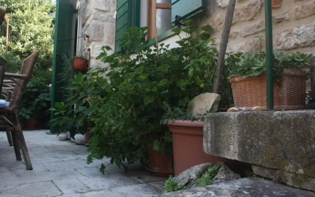 Guest House Lucijo