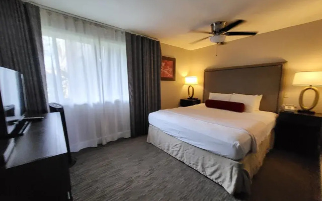 Private Condos, View will Vary, with Corporate Rental Car Savings Code Included