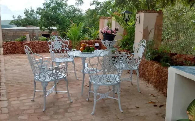 Beija- flor Lençóis