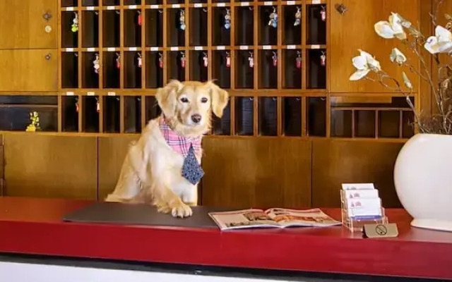 Aparthotel am Münzplatz